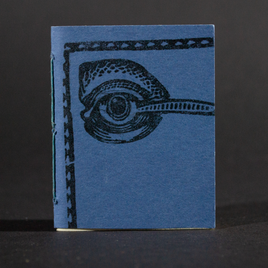 A blue eye graces the front cover of this mini pamphlet book