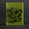 A head of lettuce is transferred to the green front cover of this mini pamphlet book